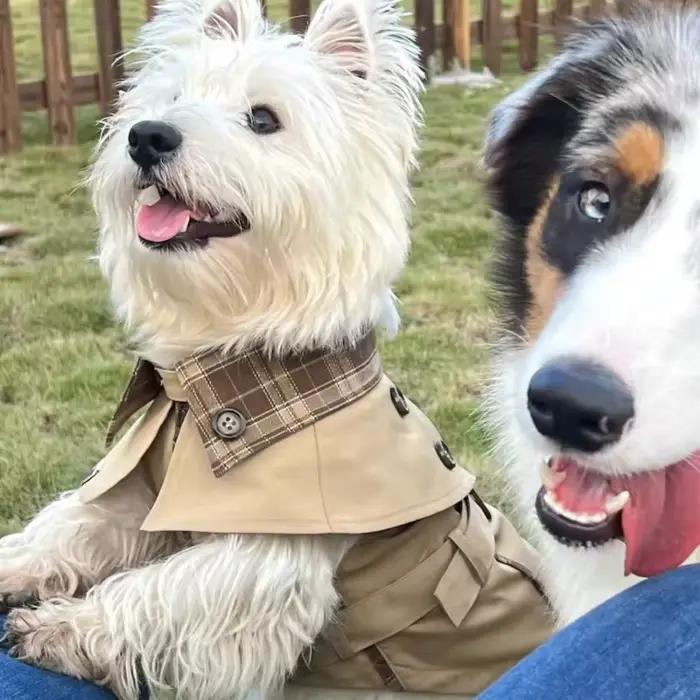 Manteau pour chien de style britannique