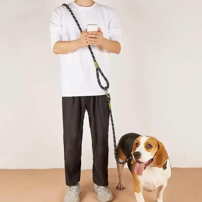 Ensemble laisse et laisse SFP pour chien