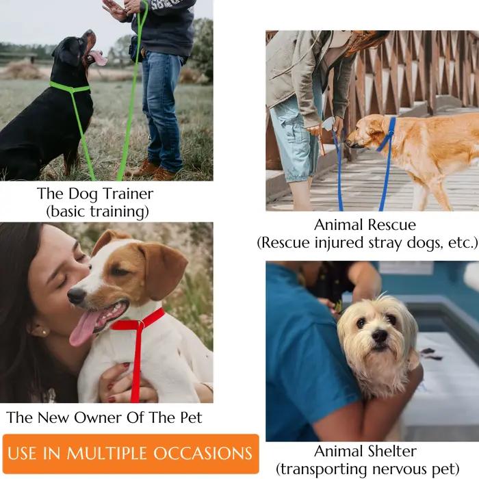 Ensemble de 6 lanières pour chiens en polyester résistant, colorées, de 182,88 cm, avec anneaux en métal, idéal pour le toilettage, la promenade et l'entraînement des animaux de compagnie – disponible