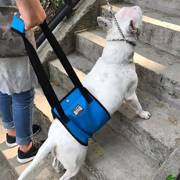 Harnais de levage pour chien