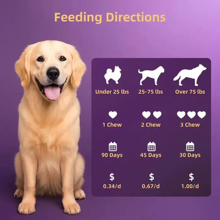 Compléments Probiotiques pour Chiens – 90 Comprimés – Enzymes Digestives pour la Santé de la Flore Intestinale