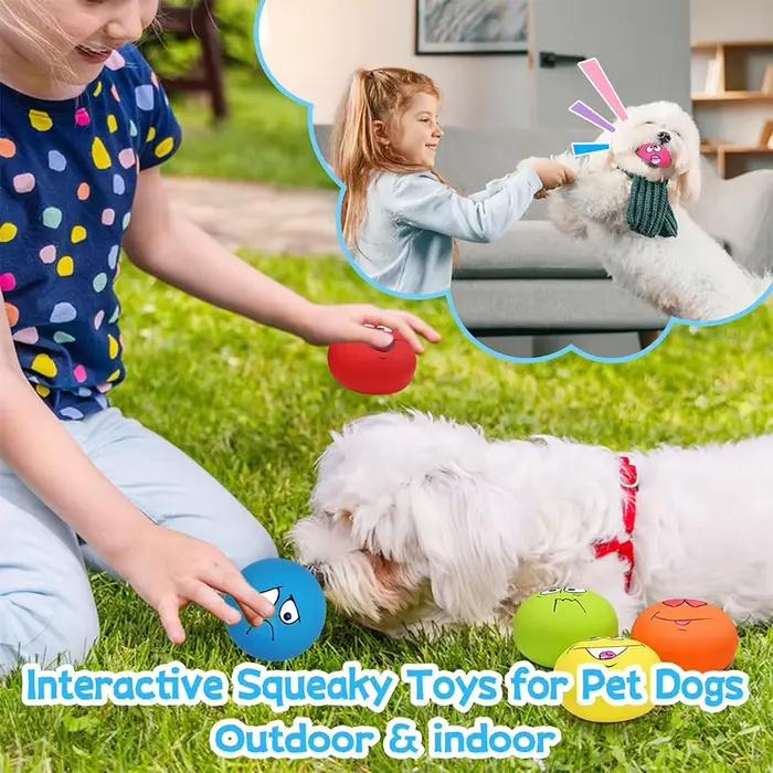 Jouets en caoutchouc pour chiens