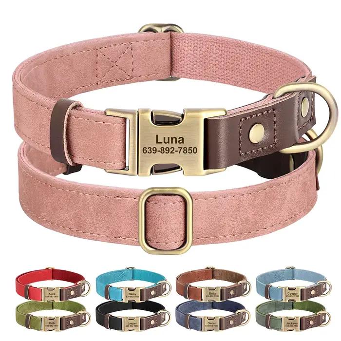 Collier de chien personnalisé colliers