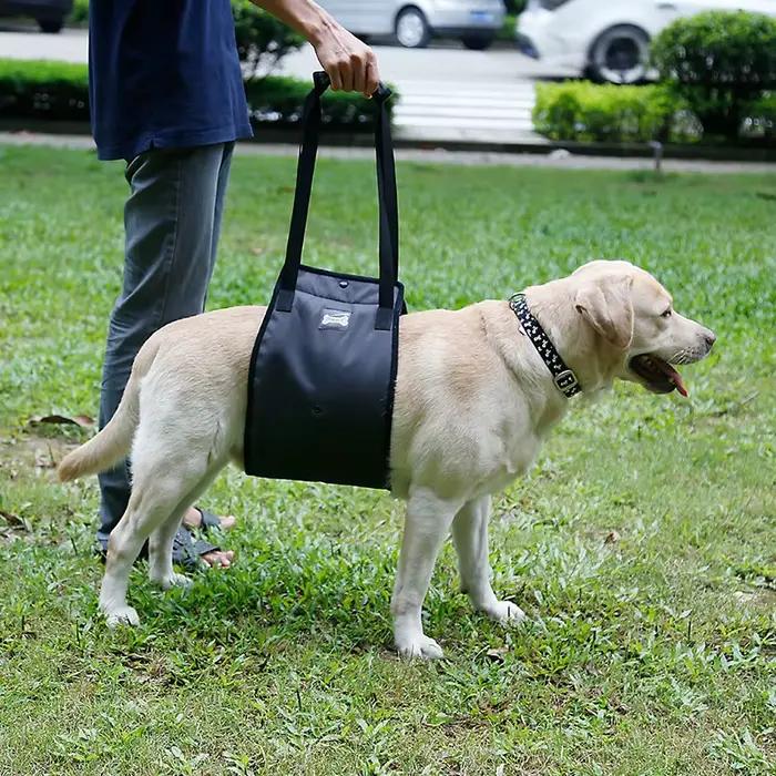 Harnais de levage pour chien