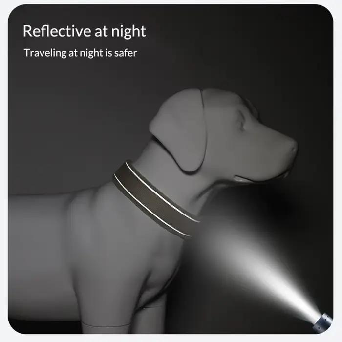 Collier pour chien de grande taille