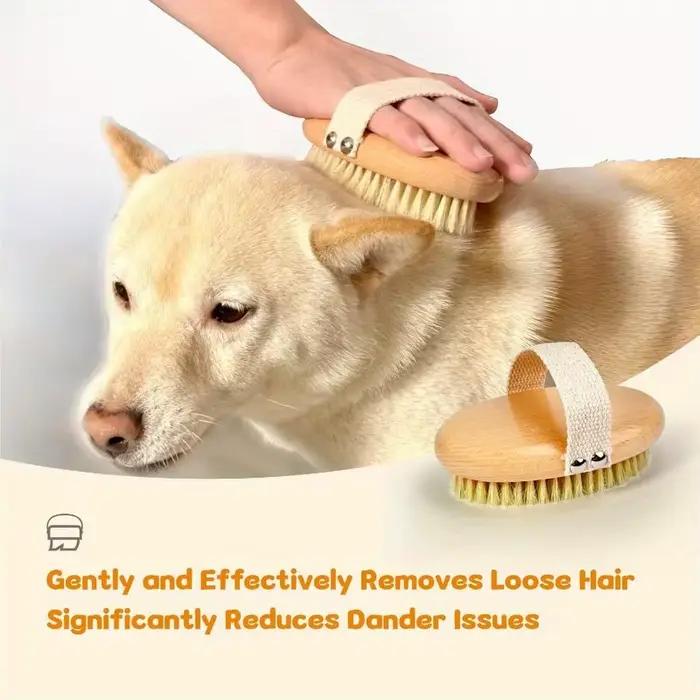 Brosse professionnelle pour chien avec poils de sanglier