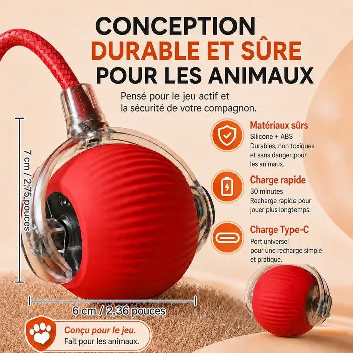 Nouveau jouet interactif de balle de chien