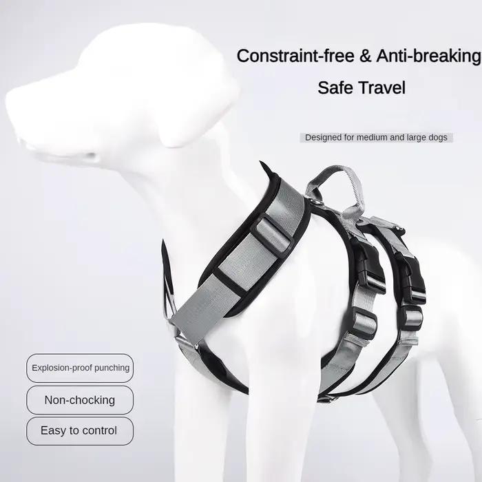 Harnais pour chien sans traction