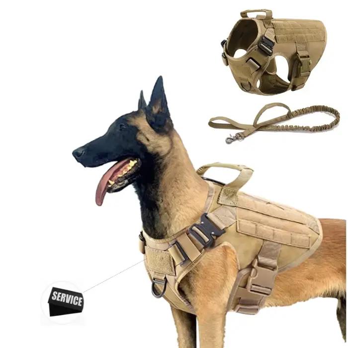 Grand ensemble harnais et laisse pour chien
