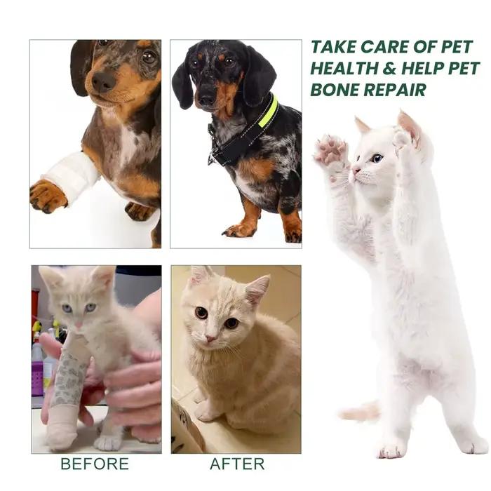Complément alimentaire pour les articulations des chiens pour soulager l'arthrite et améliorer la mobilité