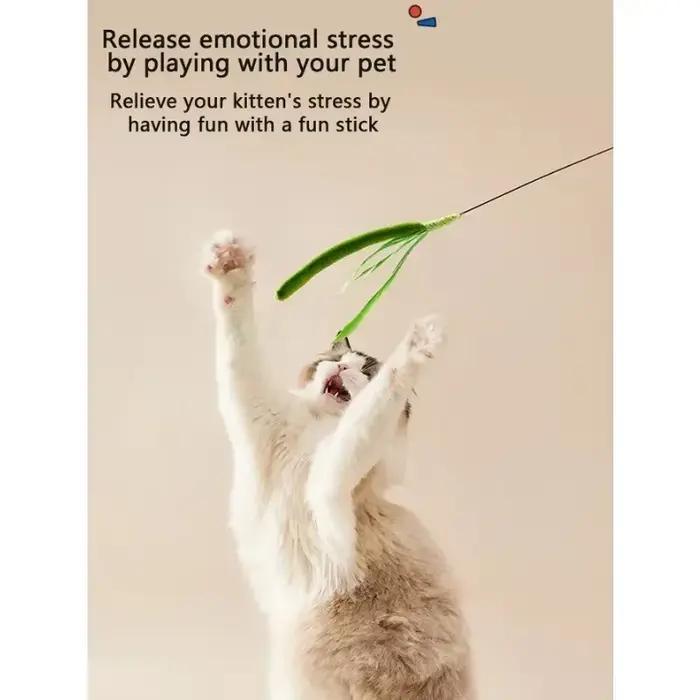 Jouet à mâcher en herbe pour chat et chien