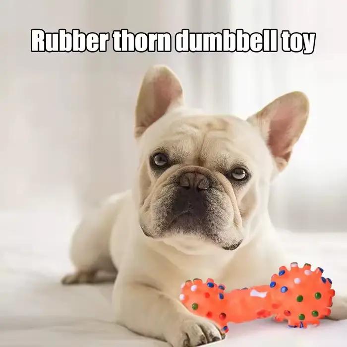 Jouet à mâcher pour chien
