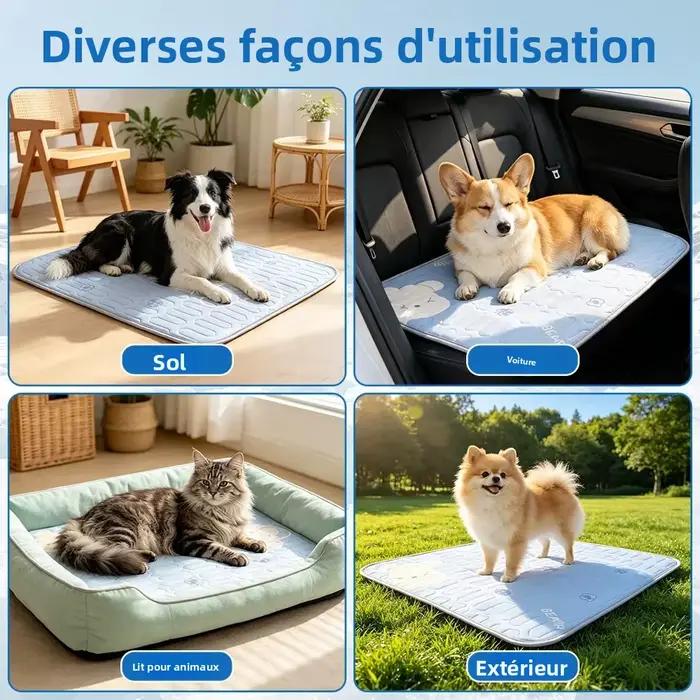 Tapis rafraîchissant pour chien