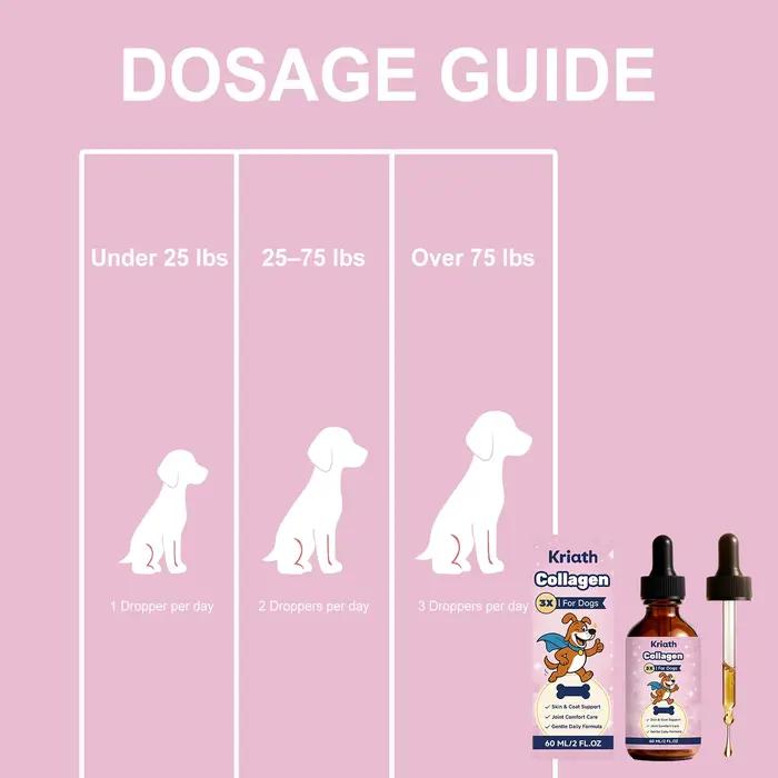 Gouttes de collagène liquide pour chiens améliorent la flexibilité des articulations, renforcent les os, améliorent l'état de la peau, complément nutritionnel quotidien doux pour chiens.