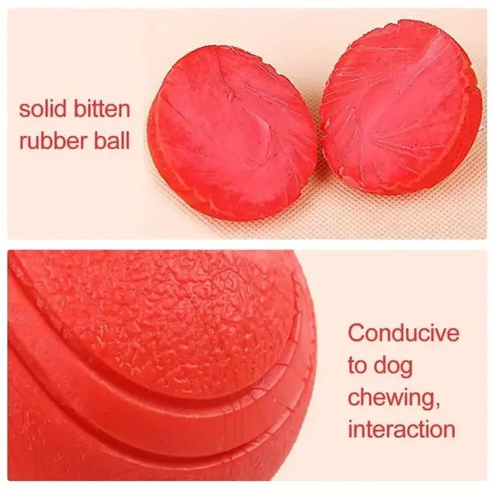 Jouet gonflable Durable pour chien