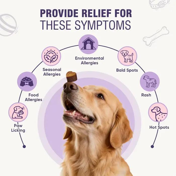 200 comprimés à mâcher pour chiens contre les allergies