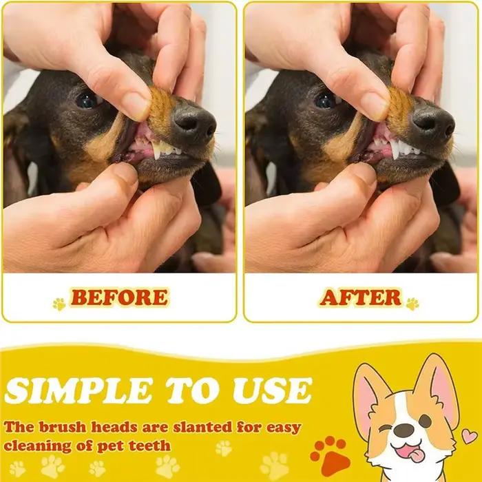 Brosse à dents pratique à double tête pour chien