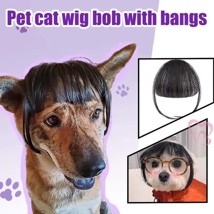 Nouvelle Perruque Amusante pour Chats et Chiens