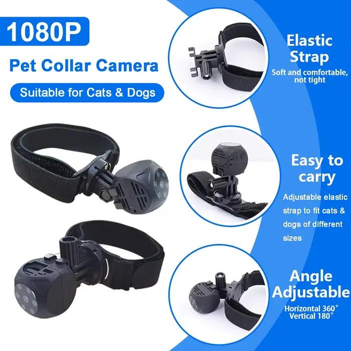 Collier de caméra pour chat
