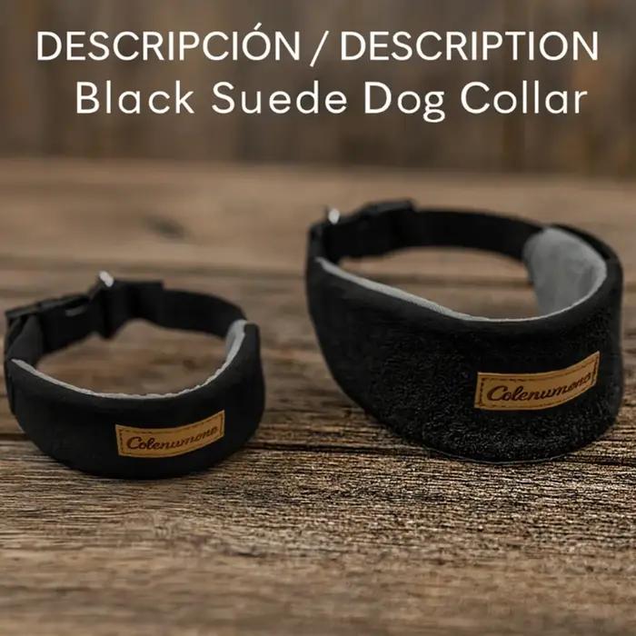 Collier pour chien qui ne s'ajuste pas autour du cou, accessoire de collier, laisse extérieure pour promenades de chiens, taille grande et moyenne
