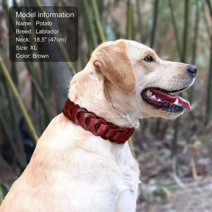 Collier pour chien en cuir de vache véritable