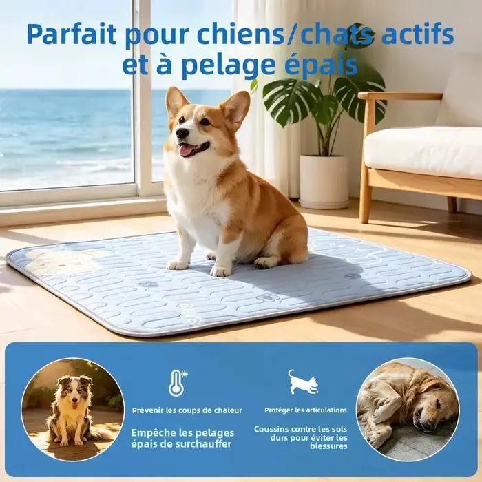 Tapis rafraîchissant pour chien