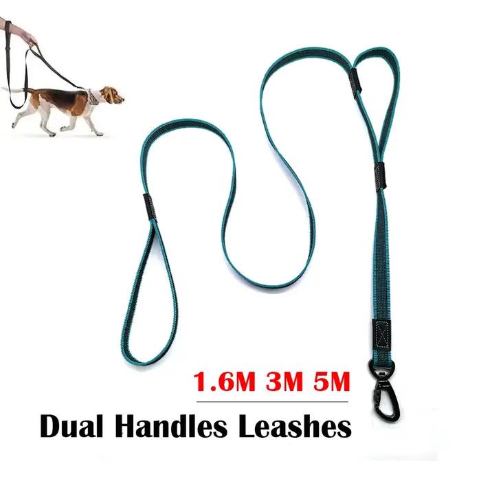 Laisse pour grand chien 5M 3M