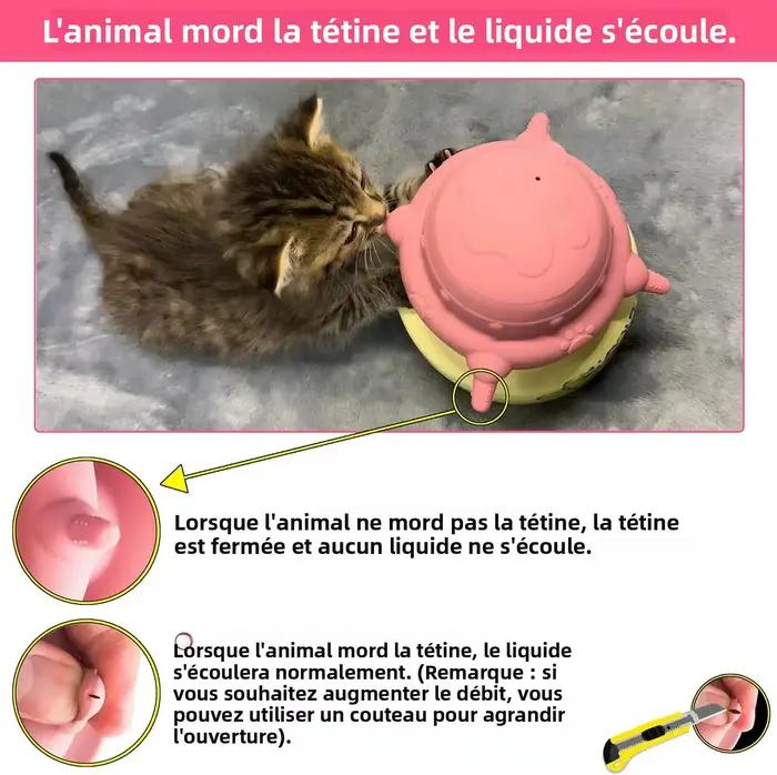 Mangeoire pour nouveau-né chiot et chaton
