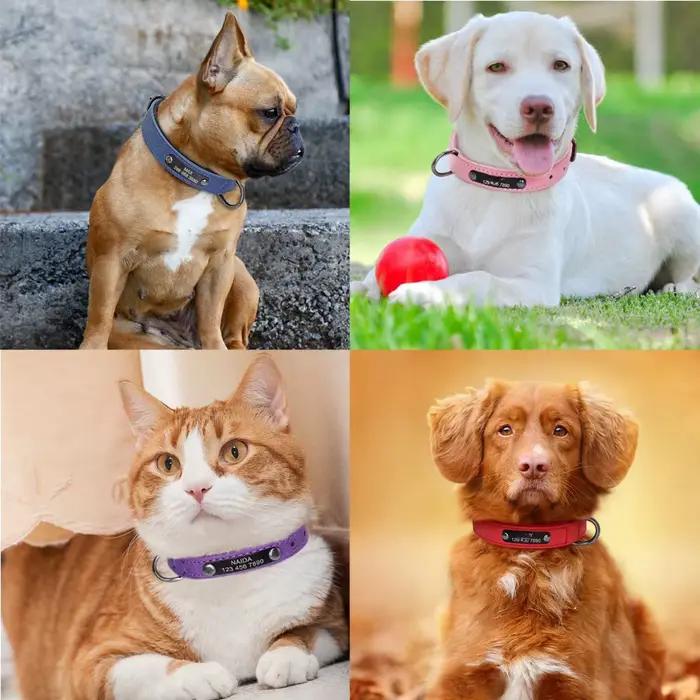 Colliers pour chiens en cuir personnalisables
