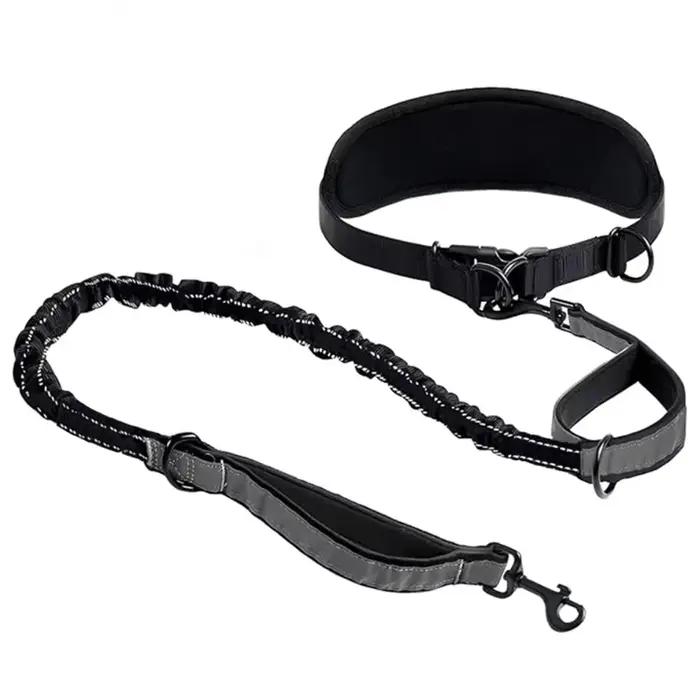 Laisse pour chien mains libres avec ceinture de soutien lombaire