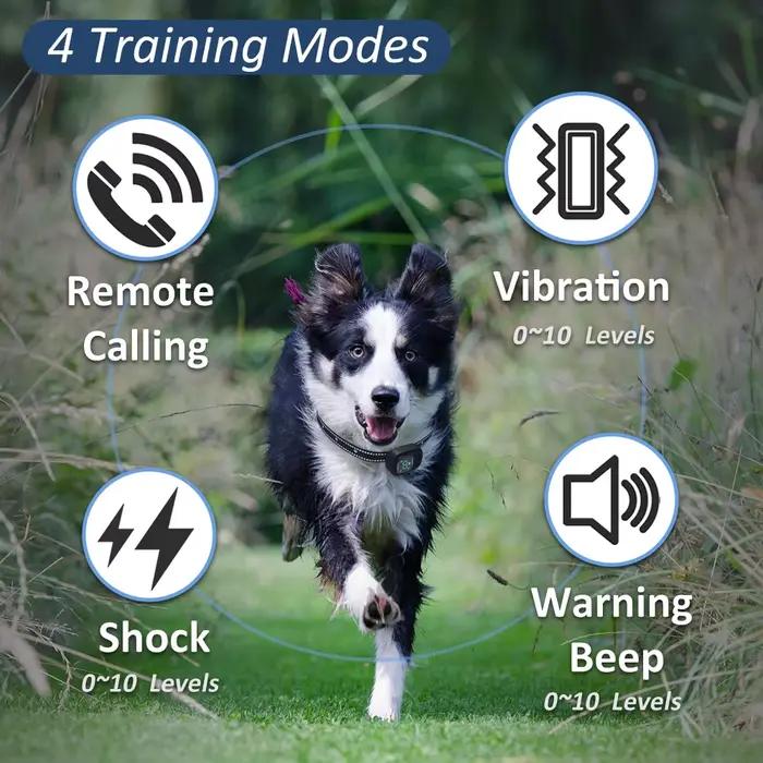 Collier de dressage pour chien 6500 pieds avec télécommande innovante étanche IPX7 avec 4 modes d'entraînement