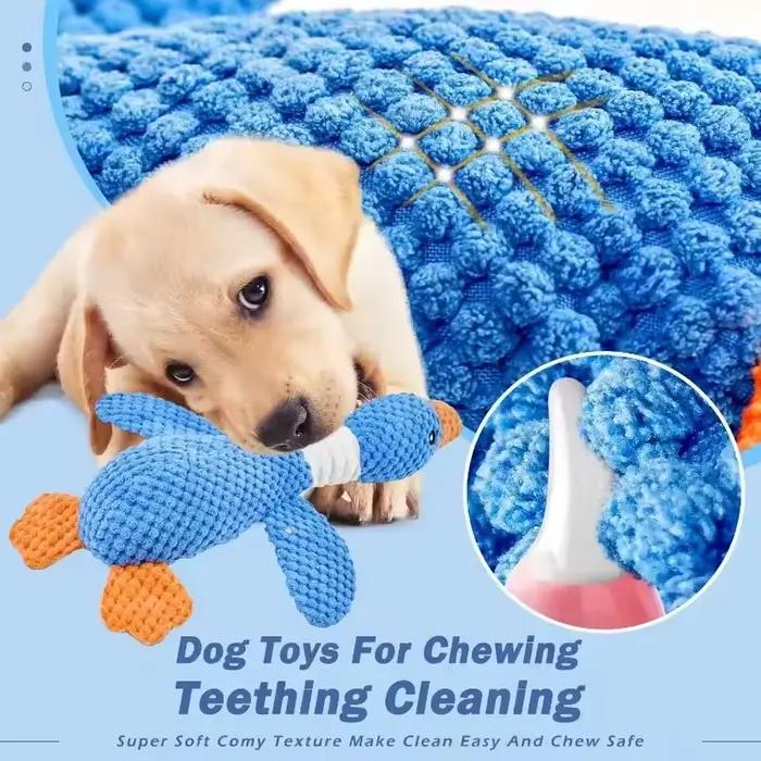 Jouets indestructibles pour animaux de compagnie agressifs (chats et chiens)