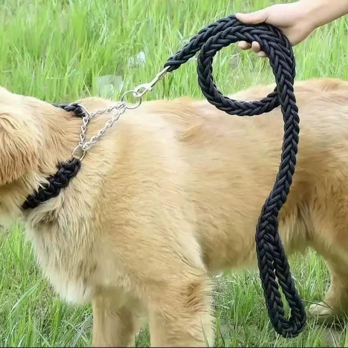 Grande laisse pour chien
