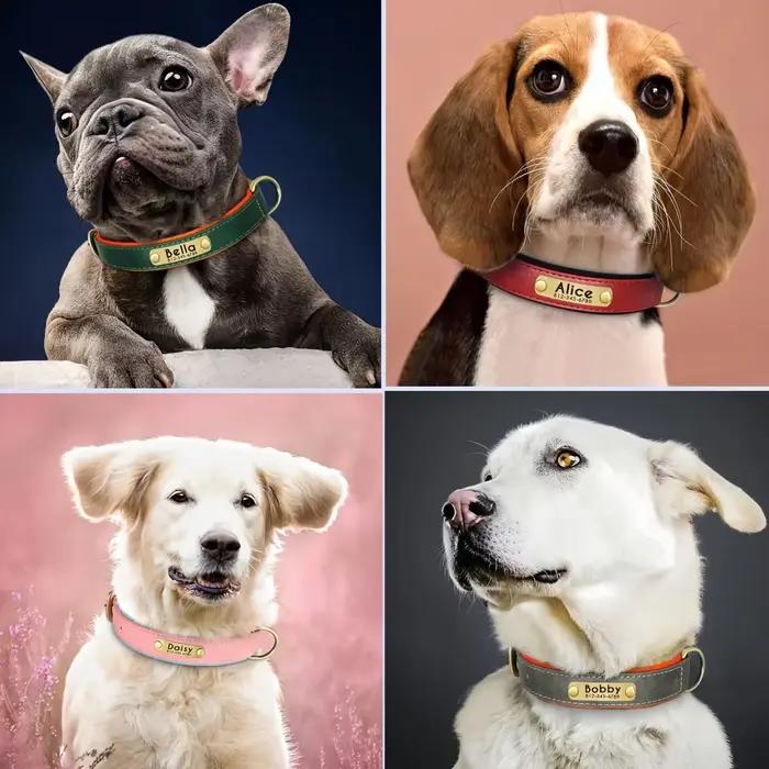 Collier de chien personnalisé en cuir rembourré souple