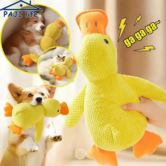 Jouet pour chien en peluche résistant aux morsures
