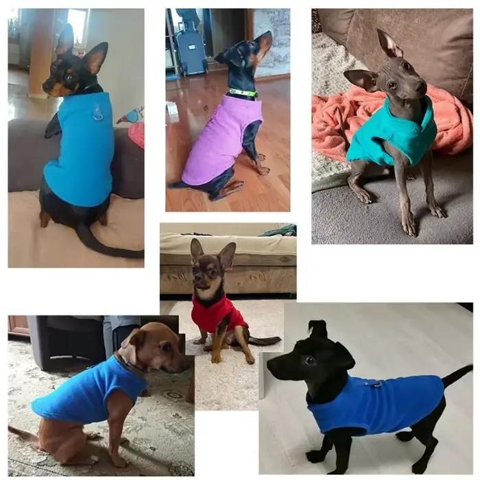 Vêtements chauds en polaire pour chiens