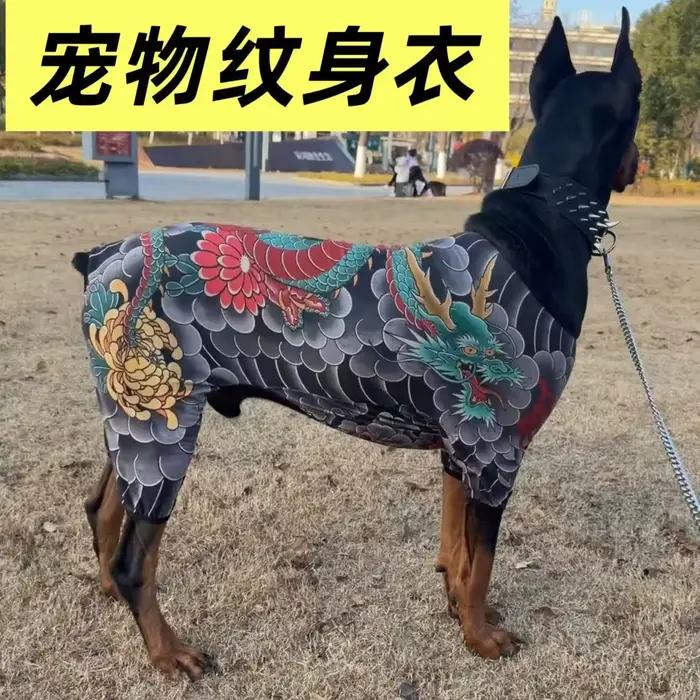 Combinaison intégrale pour chien à quatre pattes