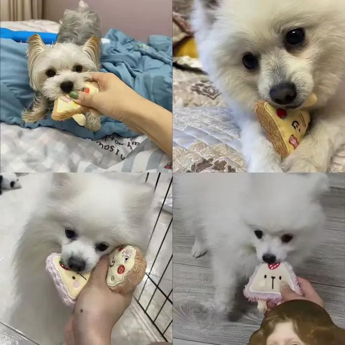 Jouet en peluche pour chien en forme de pizza
