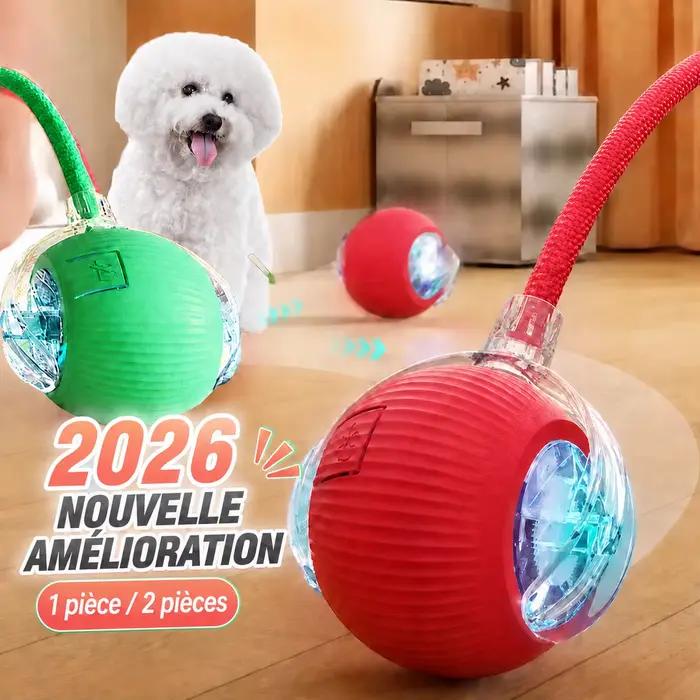 Nouveau jouet interactif de balle de chien