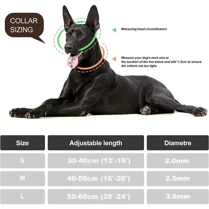 Collier de pincement Martingale en métal pour animaux de compagnie pour chiens