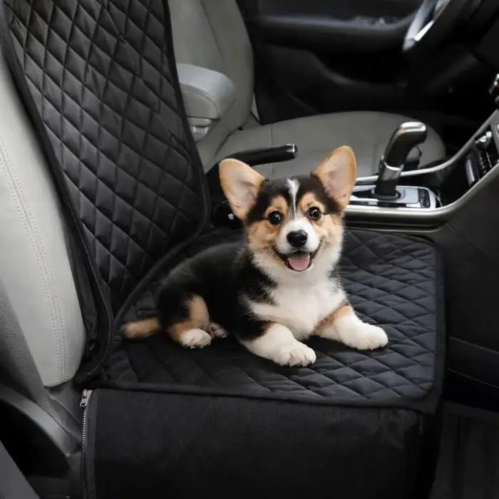 Panier de transport portable pour animaux de compagnie
