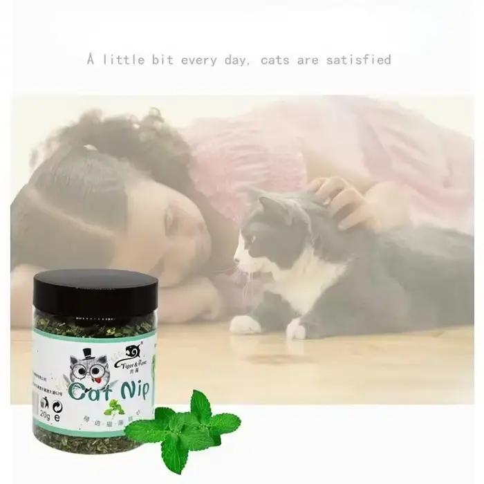5-40g Herbe à chat biologique 100% naturelle