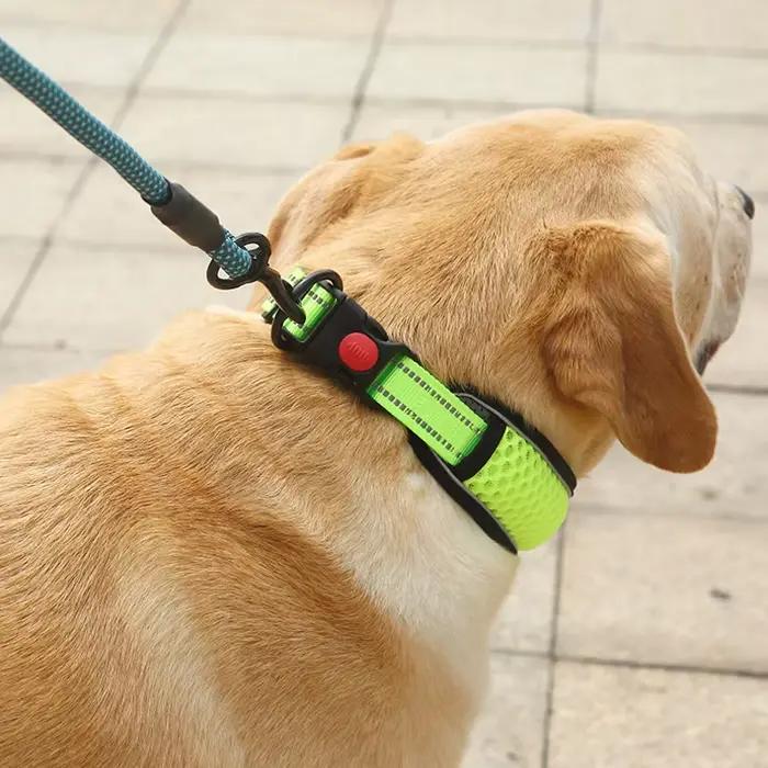 Collier en nylon pour animaux de compagnie