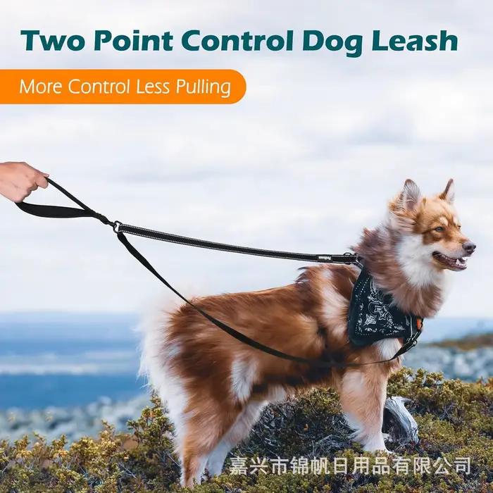 Laisse réfléchissante pour chien