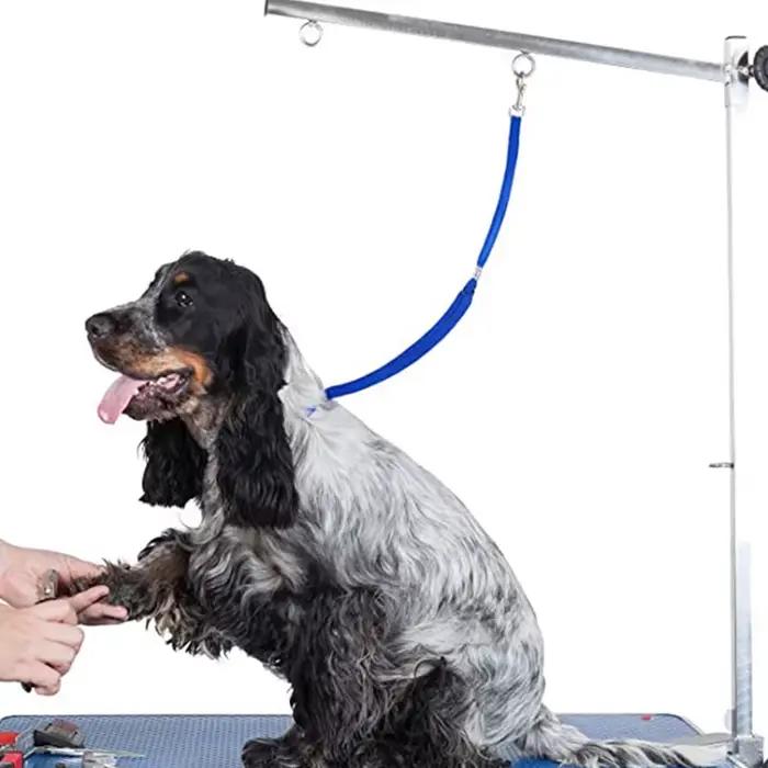 Laisse pour animaux de compagnie