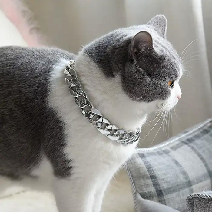 Collier en or réglable JOCollar pour animaux de compagnie