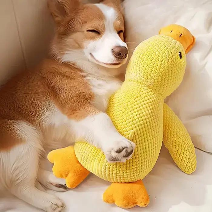 Jouet pour chien en forme de canard