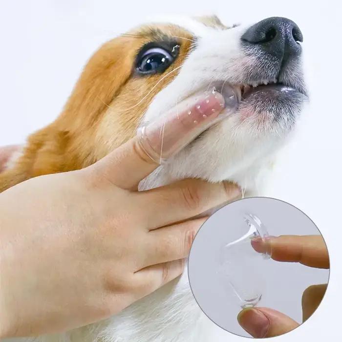 Brosse à dents Super douce pour animaux de compagnie