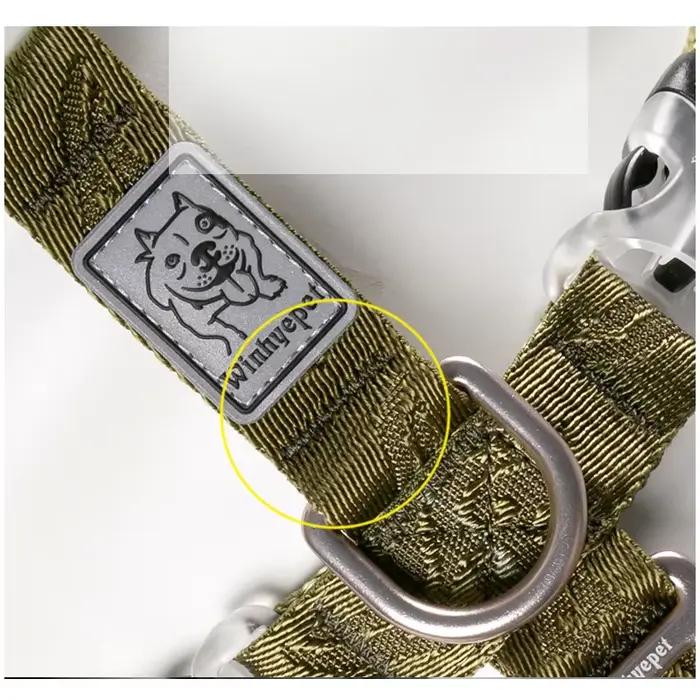 Nylon SFP Double-H personnalisé pour chien