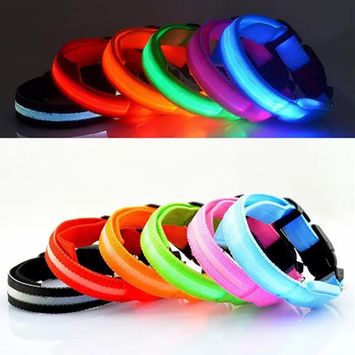 Collier Anti-perte pour chien à LED
